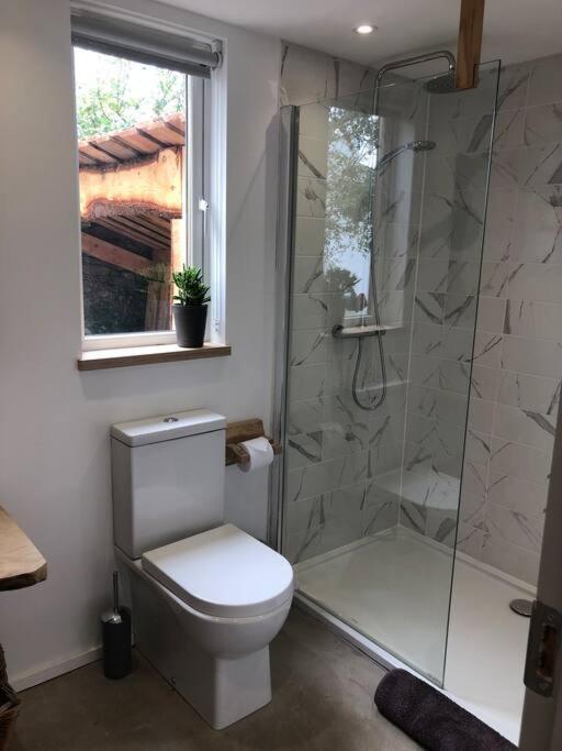 Lough Hyne Cottage Skibbereen Ngoại thất bức ảnh