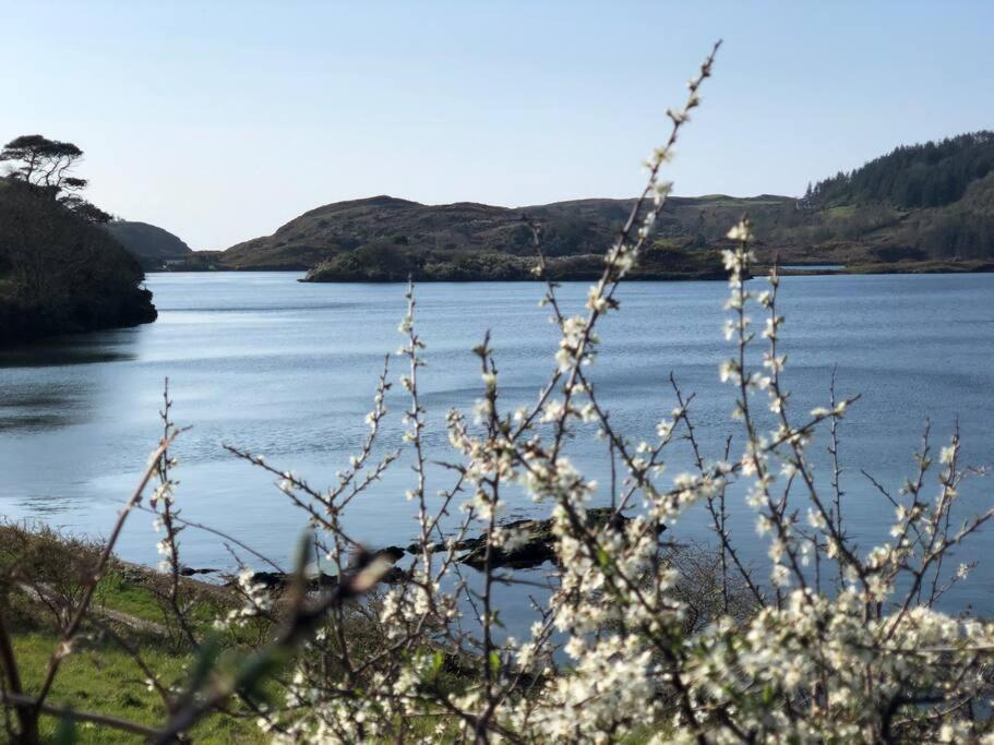 Lough Hyne Cottage Skibbereen Ngoại thất bức ảnh