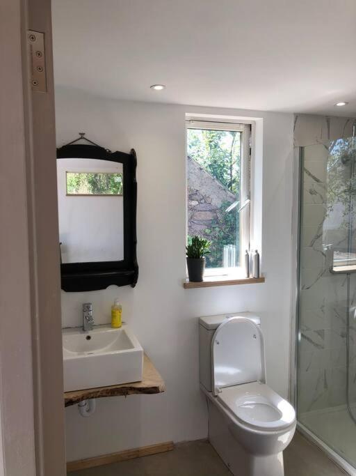 Lough Hyne Cottage Skibbereen Ngoại thất bức ảnh
